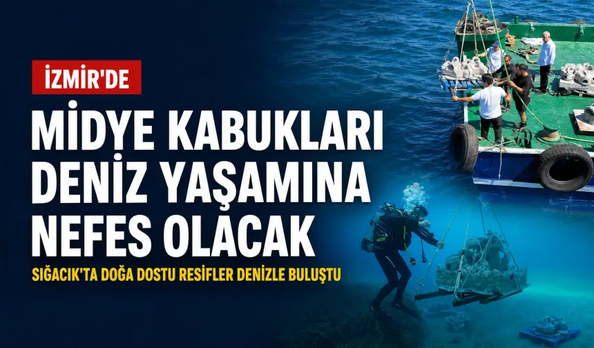 Sığacık’ta doğa dostu resifler denizle buluştu: Atık midye kabuklarından İzmir kıyılarına yeni yaşam alanı
