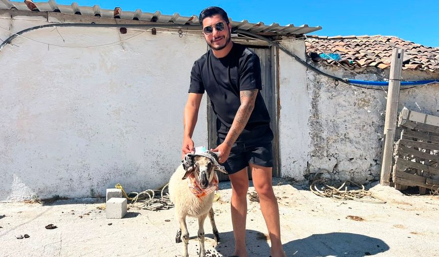 Ehliyetine yeniden kavuşan galerici kurban keserek kutladı