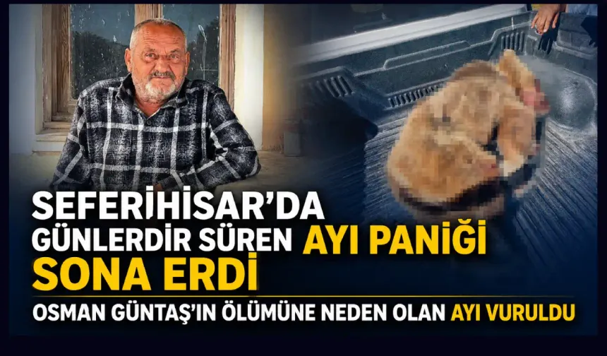 Seferihisar’da ayı paniği sona erdi: Osman Güntaş’ın ölümüne neden olan ayı vuruldu