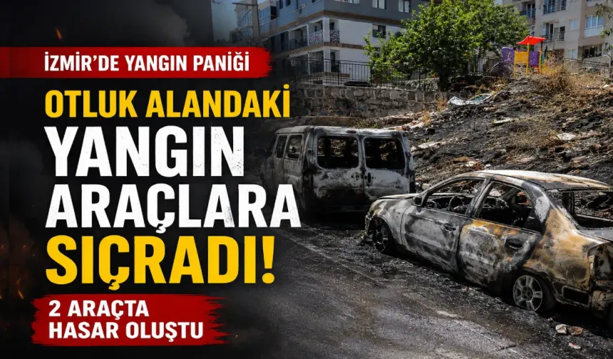 İzmir’de otluk alanda çıkan yangın 2 araca zarar verdi