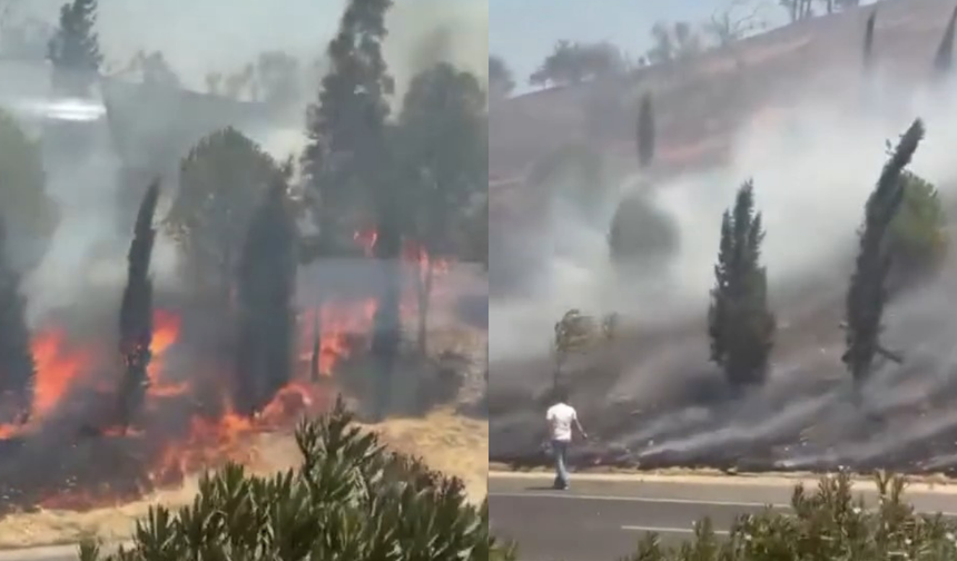 İzmir-Çeşme yolunda korkutan yangın: Rüzgarın etkisi ile Alevler hızla yayılıyor