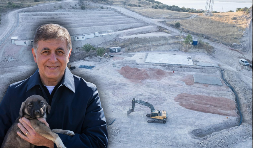 Dikili’ye 2 bin 500 kapasiteli hayvan bakımevi kuruluyor