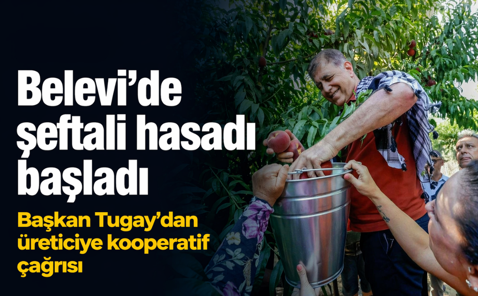 Belevi’de şeftali hasadı başladı: Başkan Tugay'dan üreticiye kooperatif çağrısı