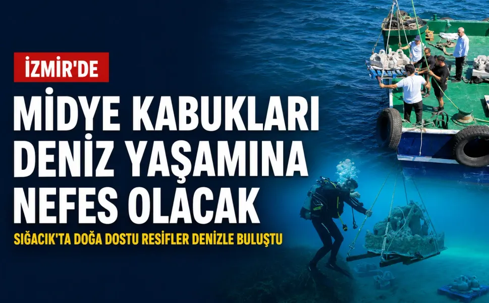 Sığacık’ta doğa dostu resifler denizle buluştu: Atık midye kabuklarından İzmir kıyılarına yeni yaşam alanı