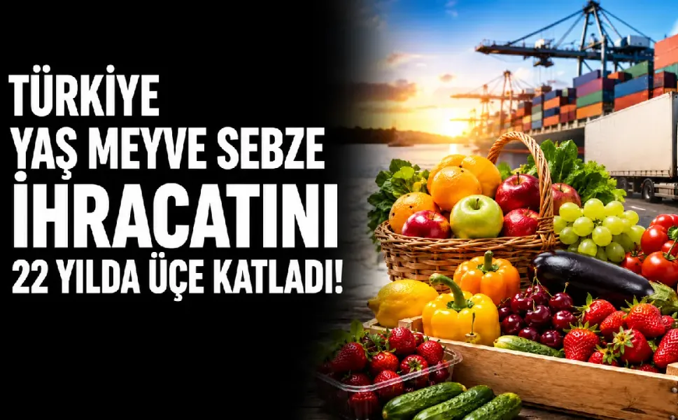 Türkiye yaş meyve sebze ihracatını 22 yılda üçe katladı, 3,7 milyon tona yaklaştı