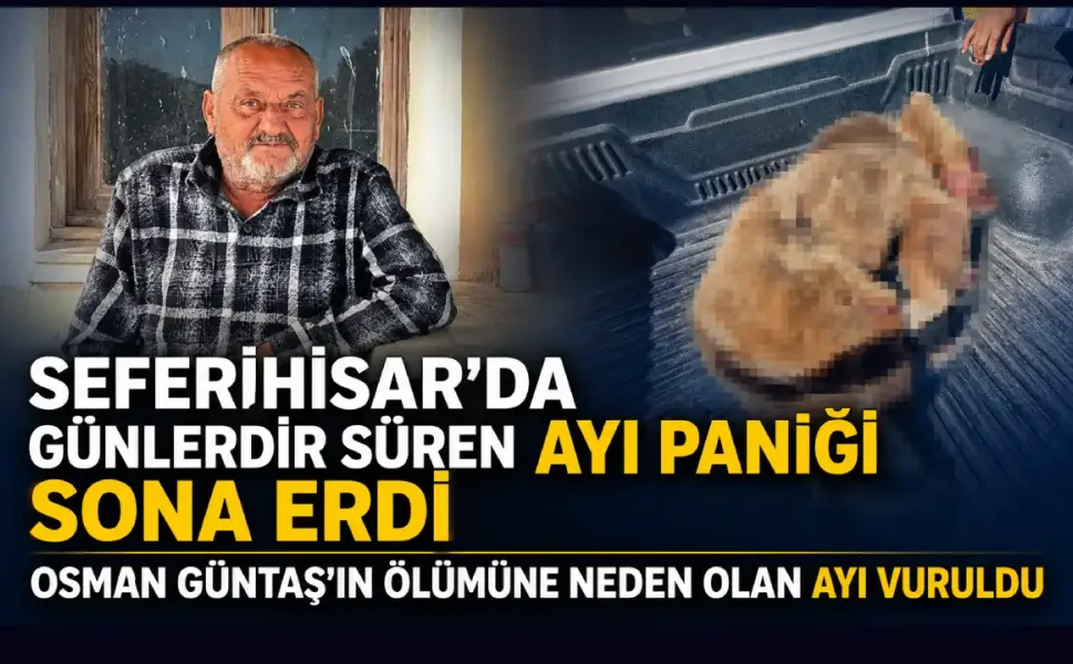 Seferihisar’da ayı paniği sona erdi: Osman Güntaş’ın ölümüne neden olan ayı vuruldu