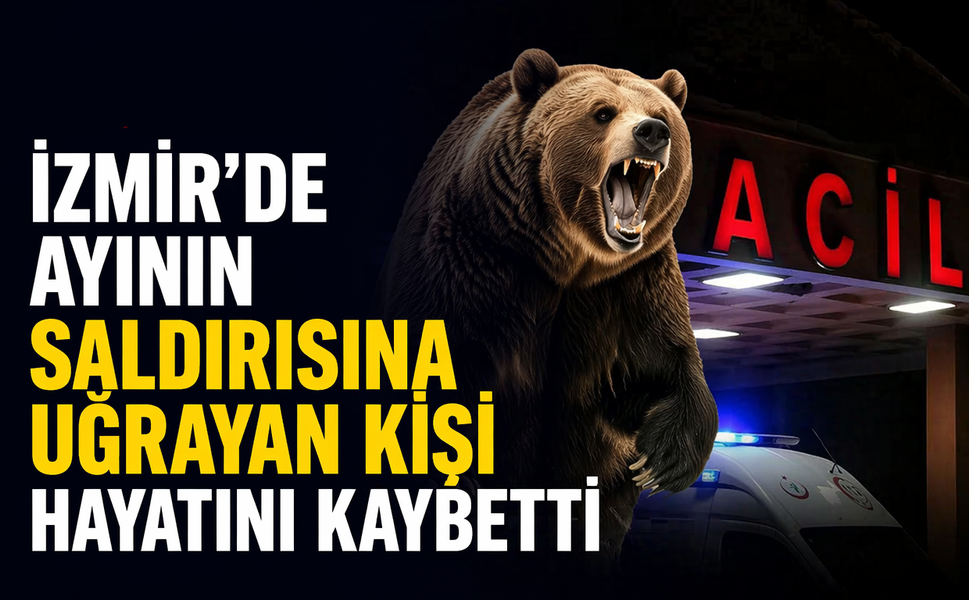 İzmir'de ayının saldırısına uğrayan kişi hayatını kaybetti