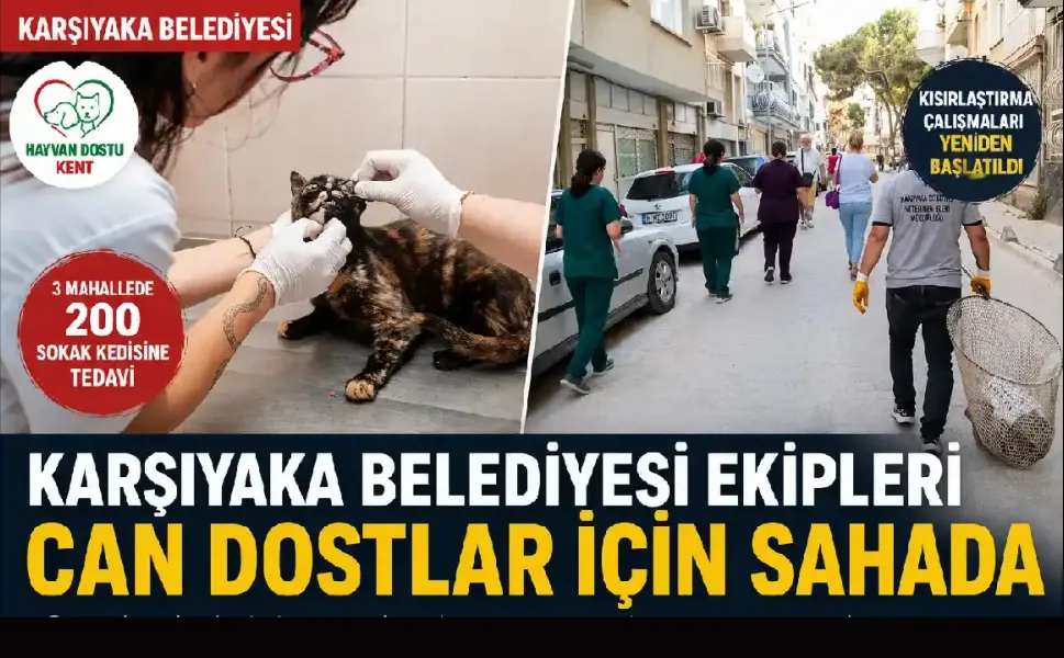 Karşıyaka Belediyesi sahipsiz hayvanlar için sahaya indi