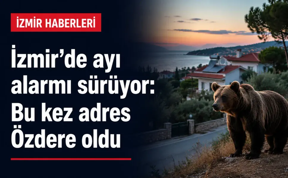 İzmir’de ayı alarmı sürüyor: Bu kez adres Özdere oldu
