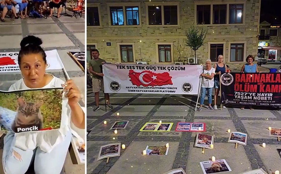 İzmir'de Hayvan Hakları Platformundan sert çıkış: "Biz vergilerimizi hayvanların katledilmesi için vermiyoruz"