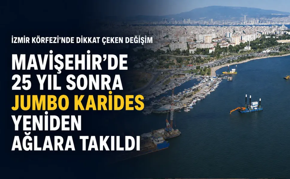 İzmir Körfezi’nde dikkat çeken değişim: 25 yıl sonra jumbo karides ağlara takıldı