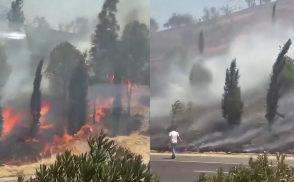 İzmir-Çeşme yolunda korkutan yangın: Rüzgarın etkisi ile Alevler hızla yayılıyor