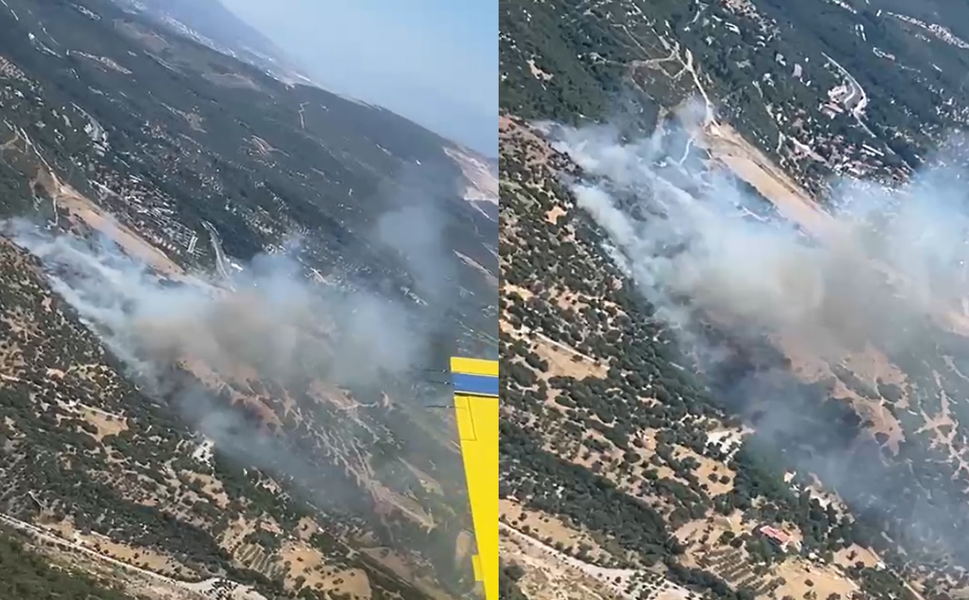 Ormanlık alandan alevler yükselmişti... Bornova'daki yangın kontrol altında