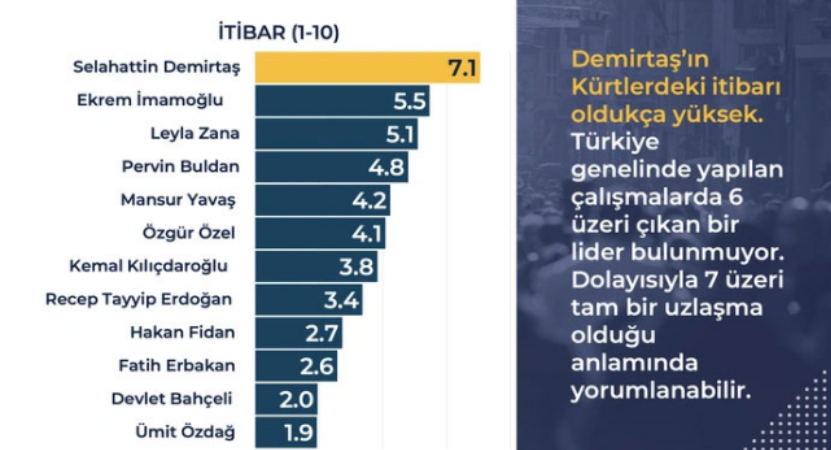 Kürt Vatandaşlarla Yapılan Anket2