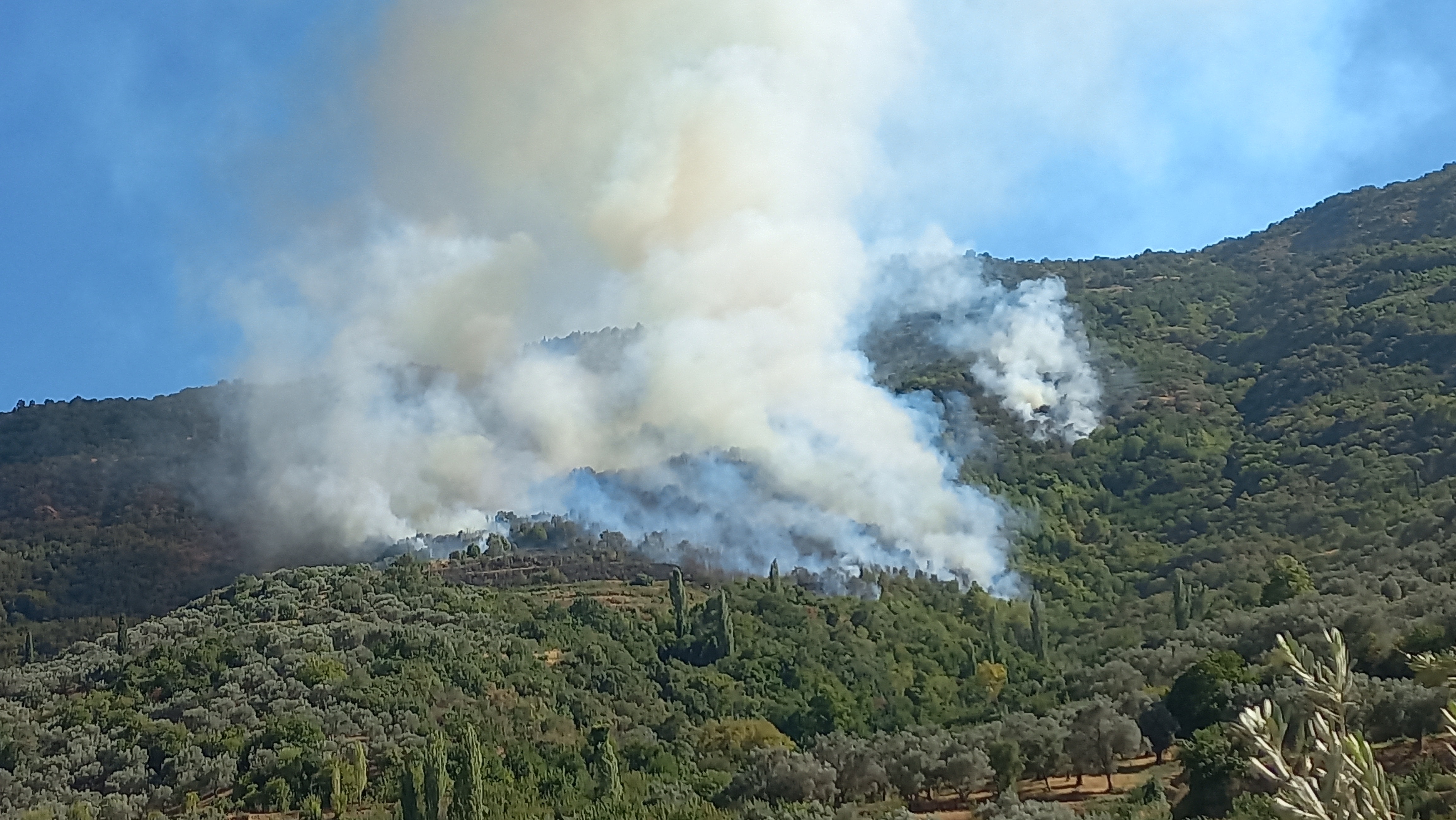 İzmir'deki Yangının Sebebi Belli Oldu 3 Kişinin Yaktığı Piknik Tüpü 3