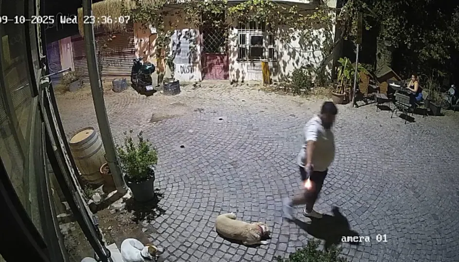 Urla Goruntu