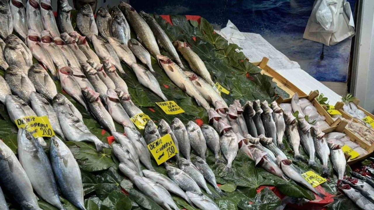 Balik Sezonu Acildi Istanbulda Baliklar Tezgahlardaki Yerini Aldi