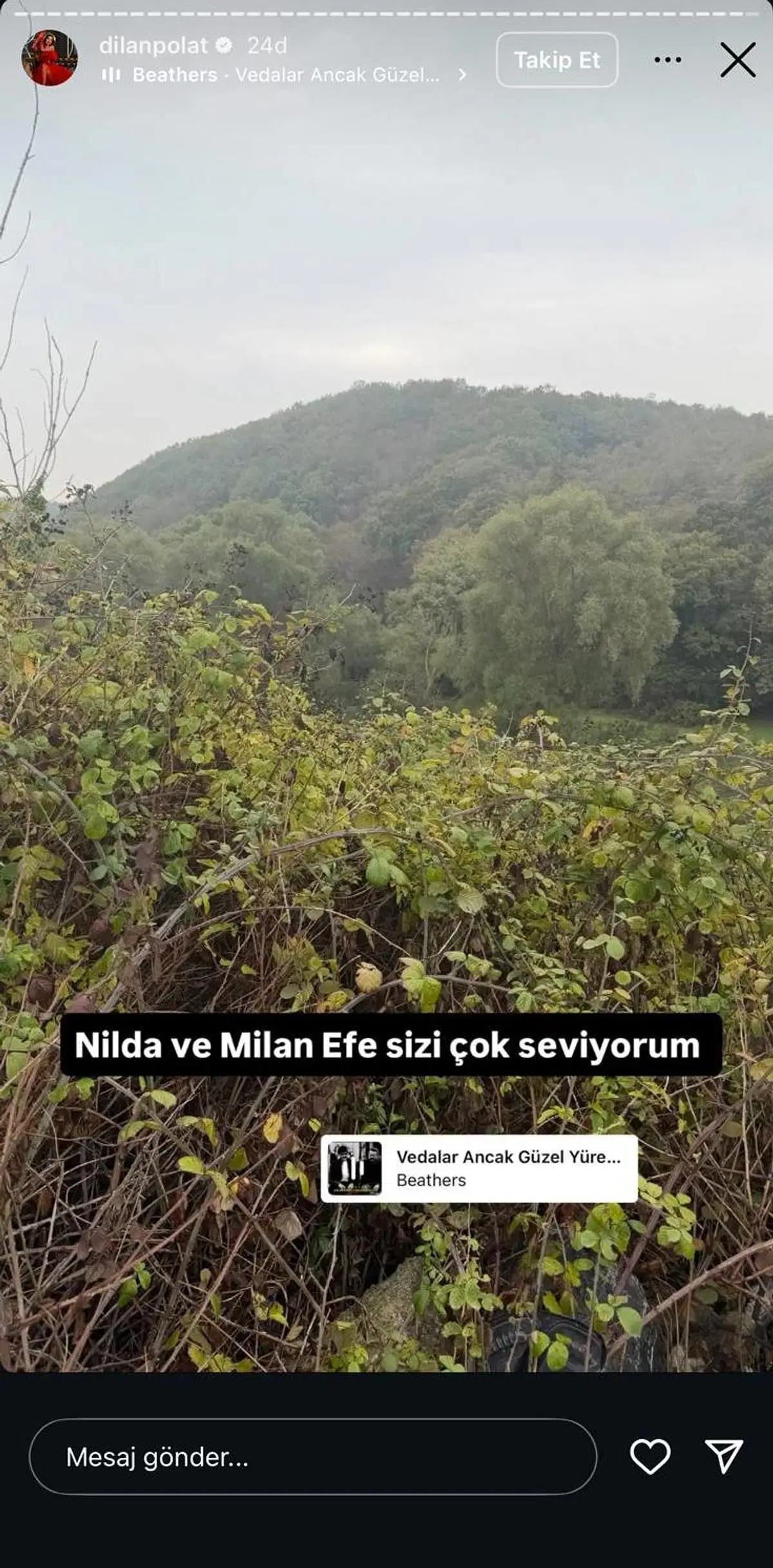 Dilan Polat-2