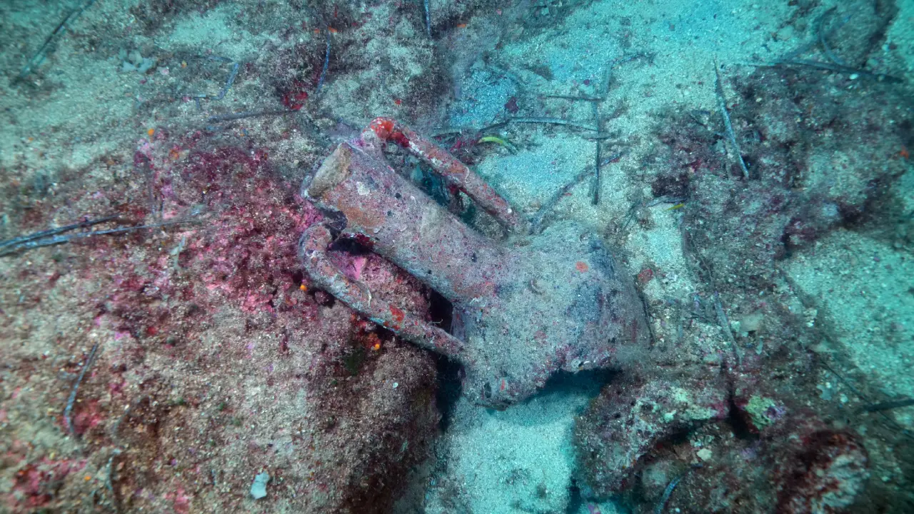 Karaburun'un Mavi Derinlikleri Dalış Tutkunlarını Ağırlıyor (9)