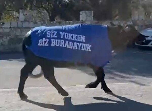 Izmirde Mandalı Protesto Siz Yokken Biz Vardık (1)
