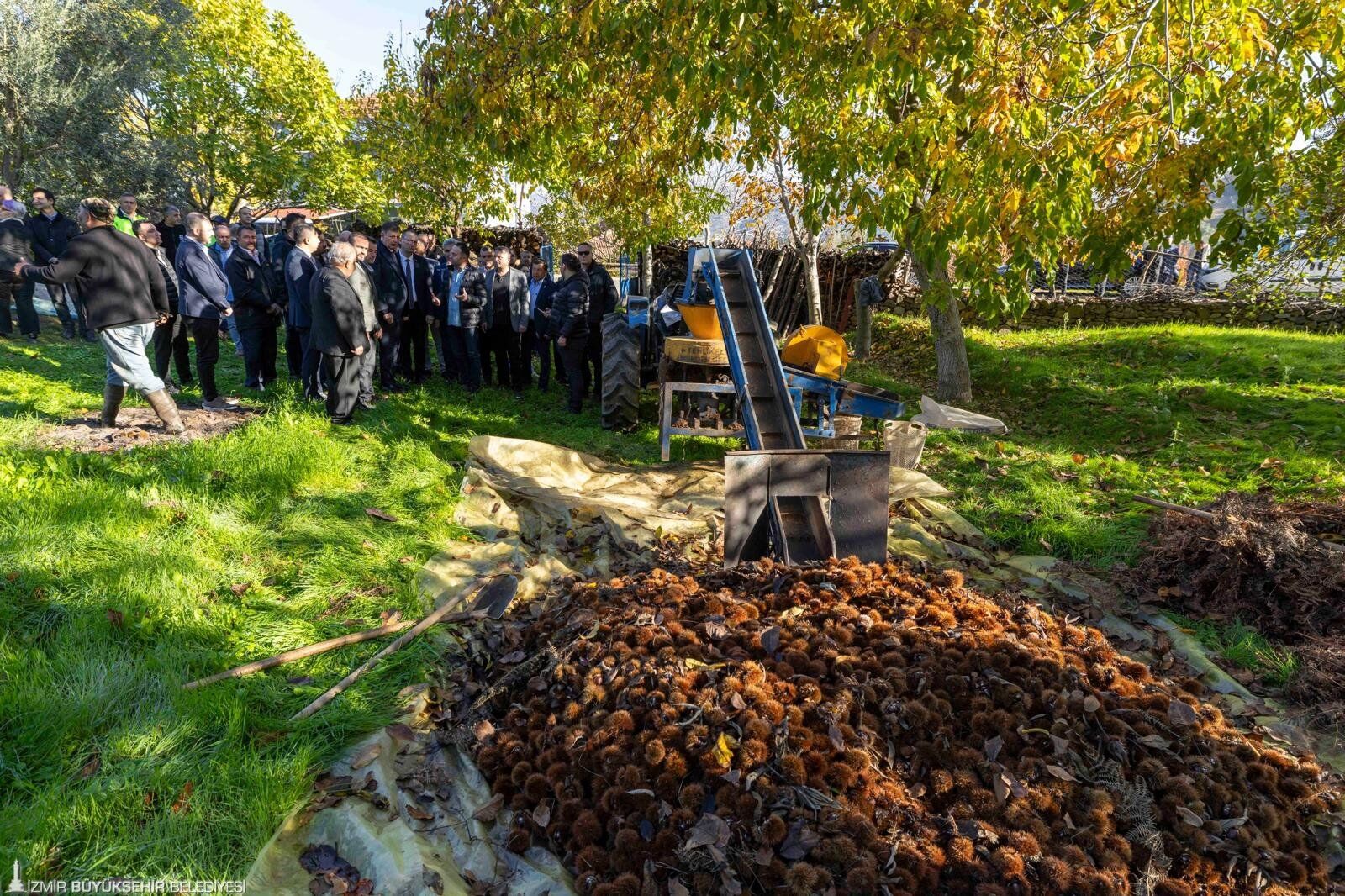 Kestane Kanseri Beydağ'ı Vurdu İzmir Büyükşehir'den Üreticiye Destek Paketi (3)