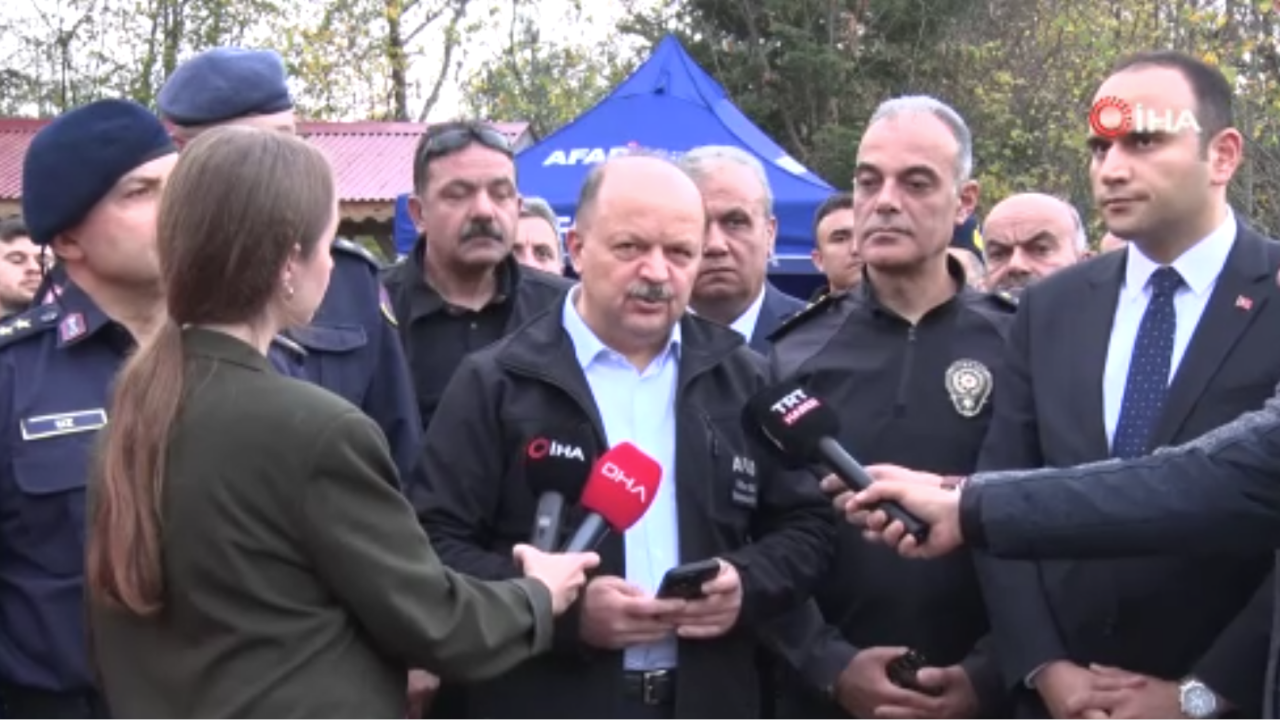 Vali Dallı