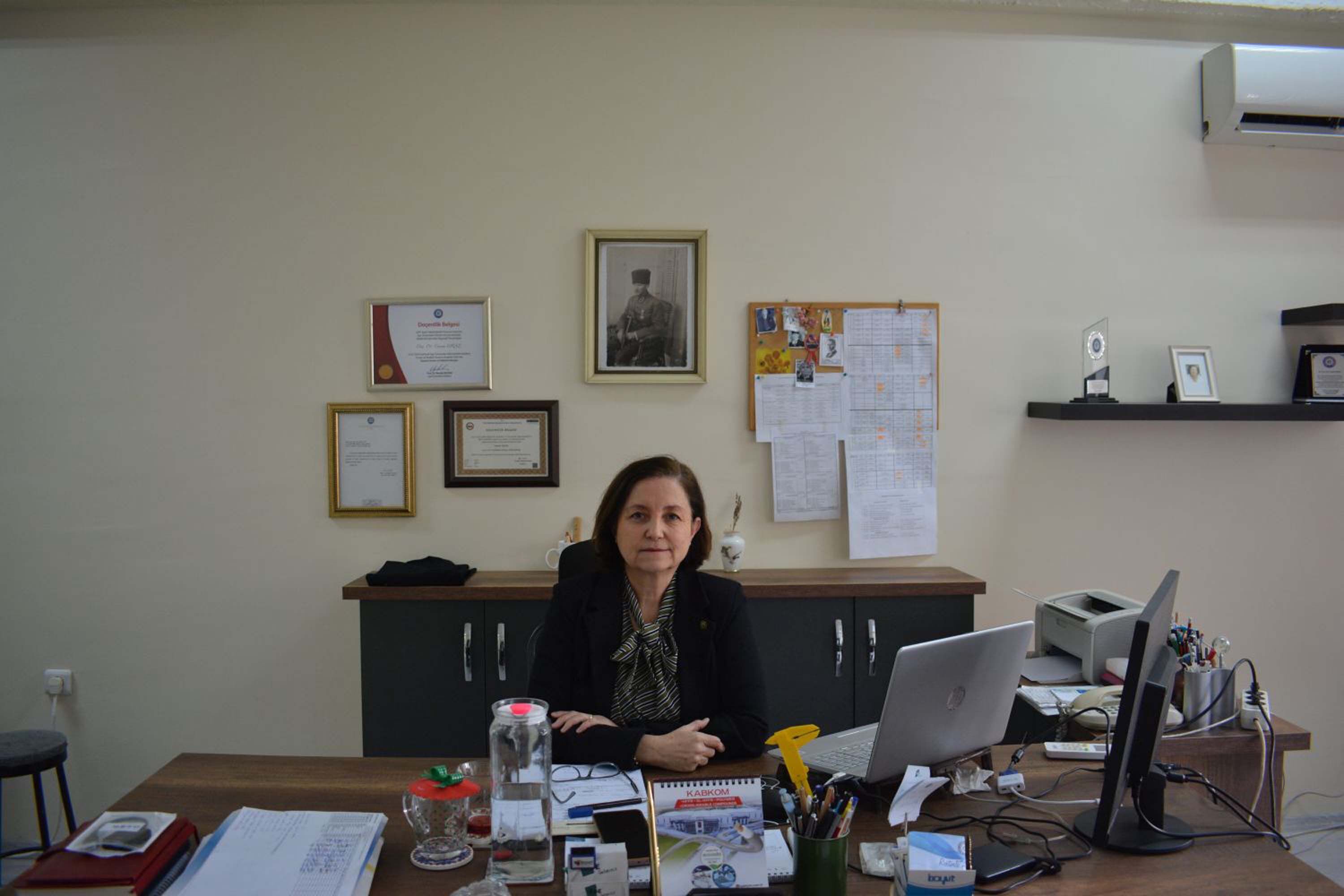 Ilaclama Akademisyen