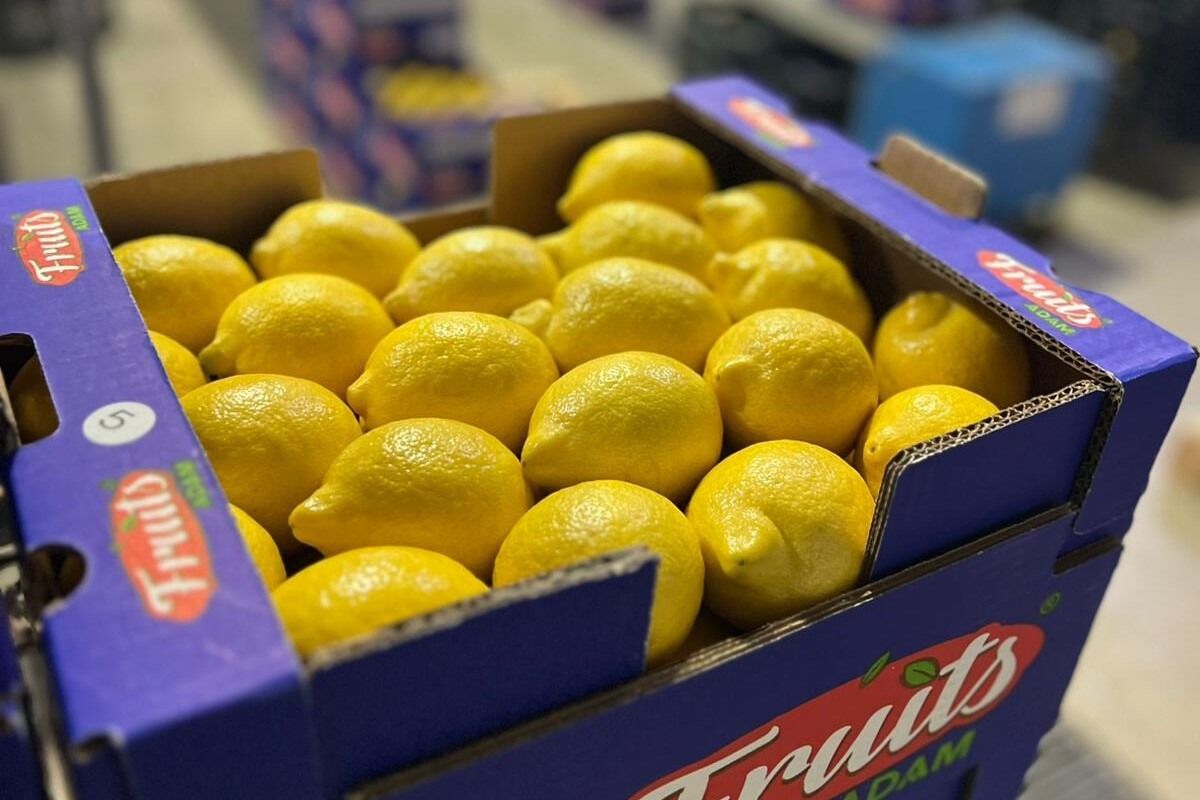 Limon