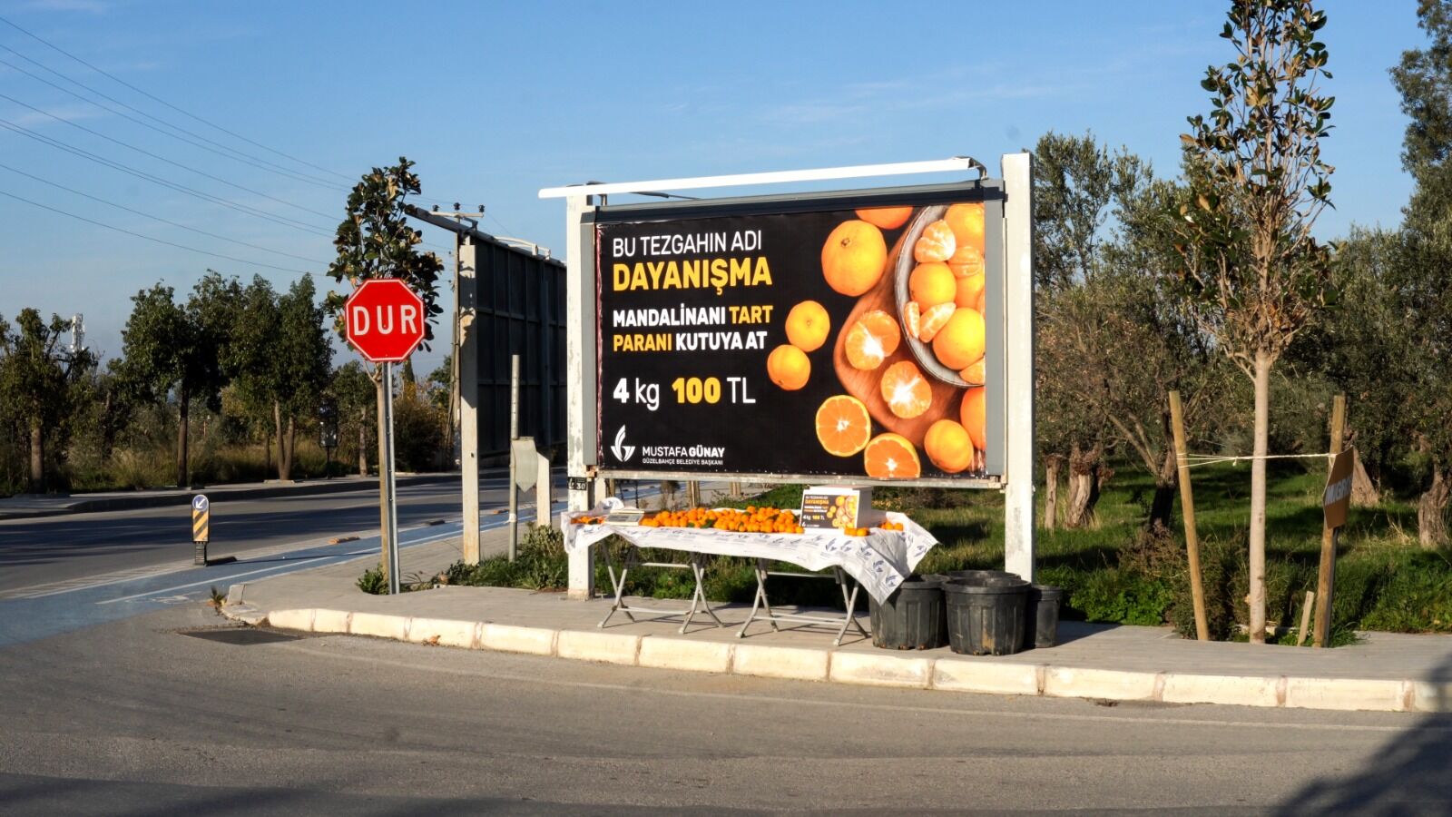 Ne Terazici Var Ne Tezgahtar Güzelbahçe'de Mandalinayı Al, Parayı Kutuya At Dönemi (3)