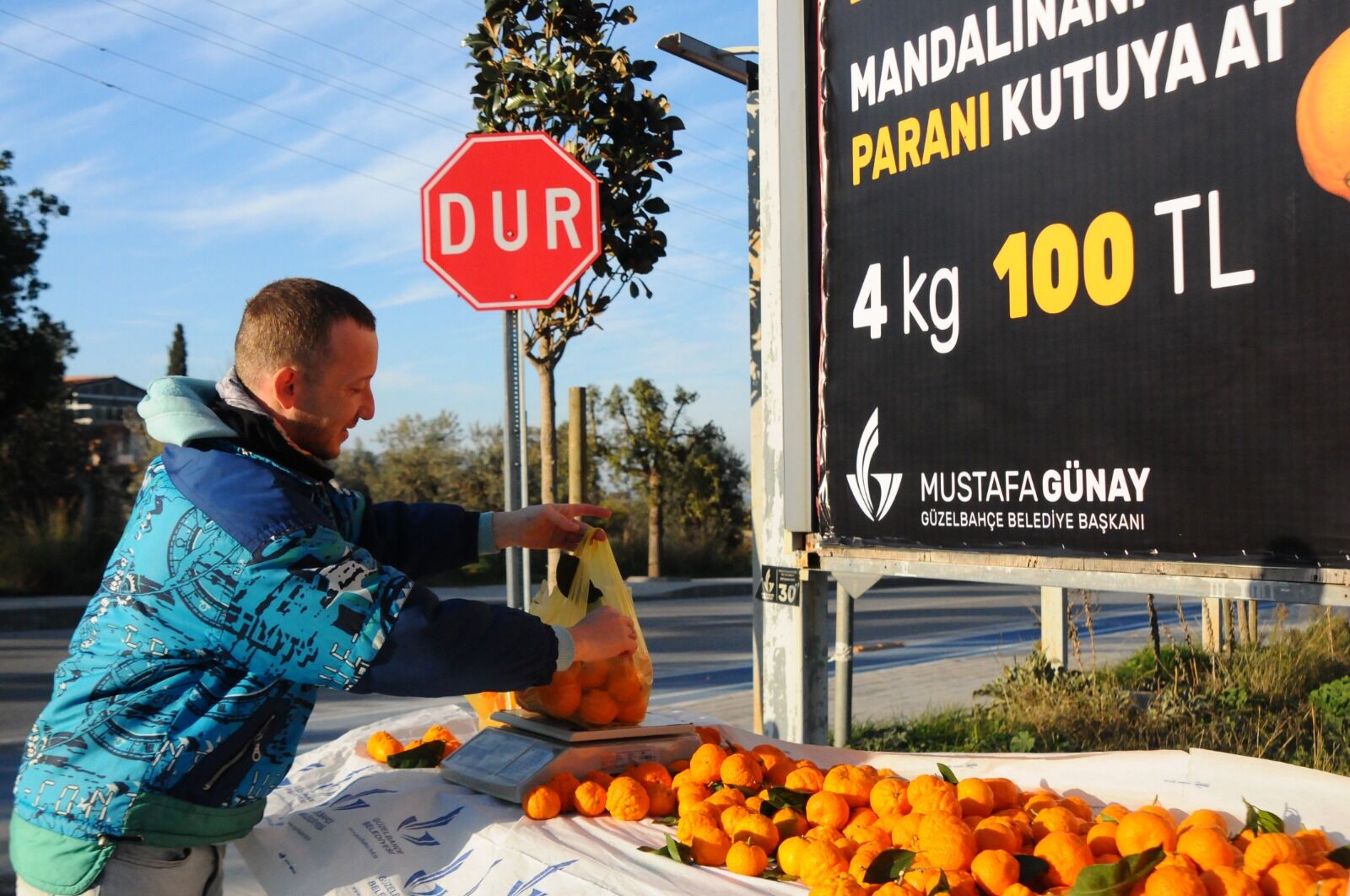 Ne Terazici Var Ne Tezgahtar Güzelbahçe'de Mandalinayı Al, Parayı Kutuya At Dönemi (4)