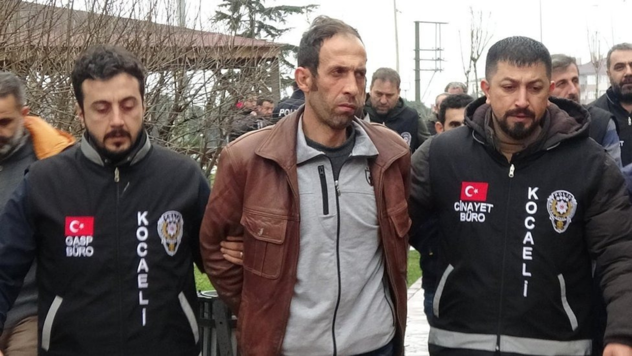 Palu Ailesi Kimdir