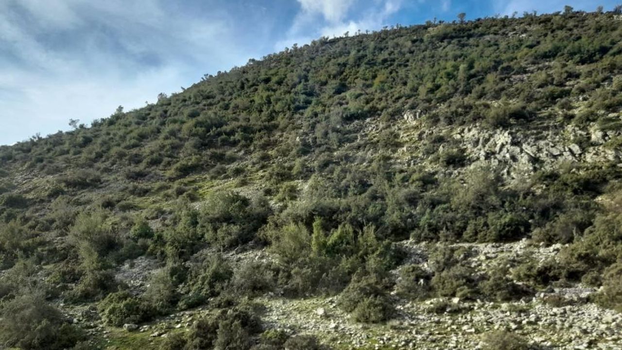 Torbalıya Kireç Taşı (1)-1