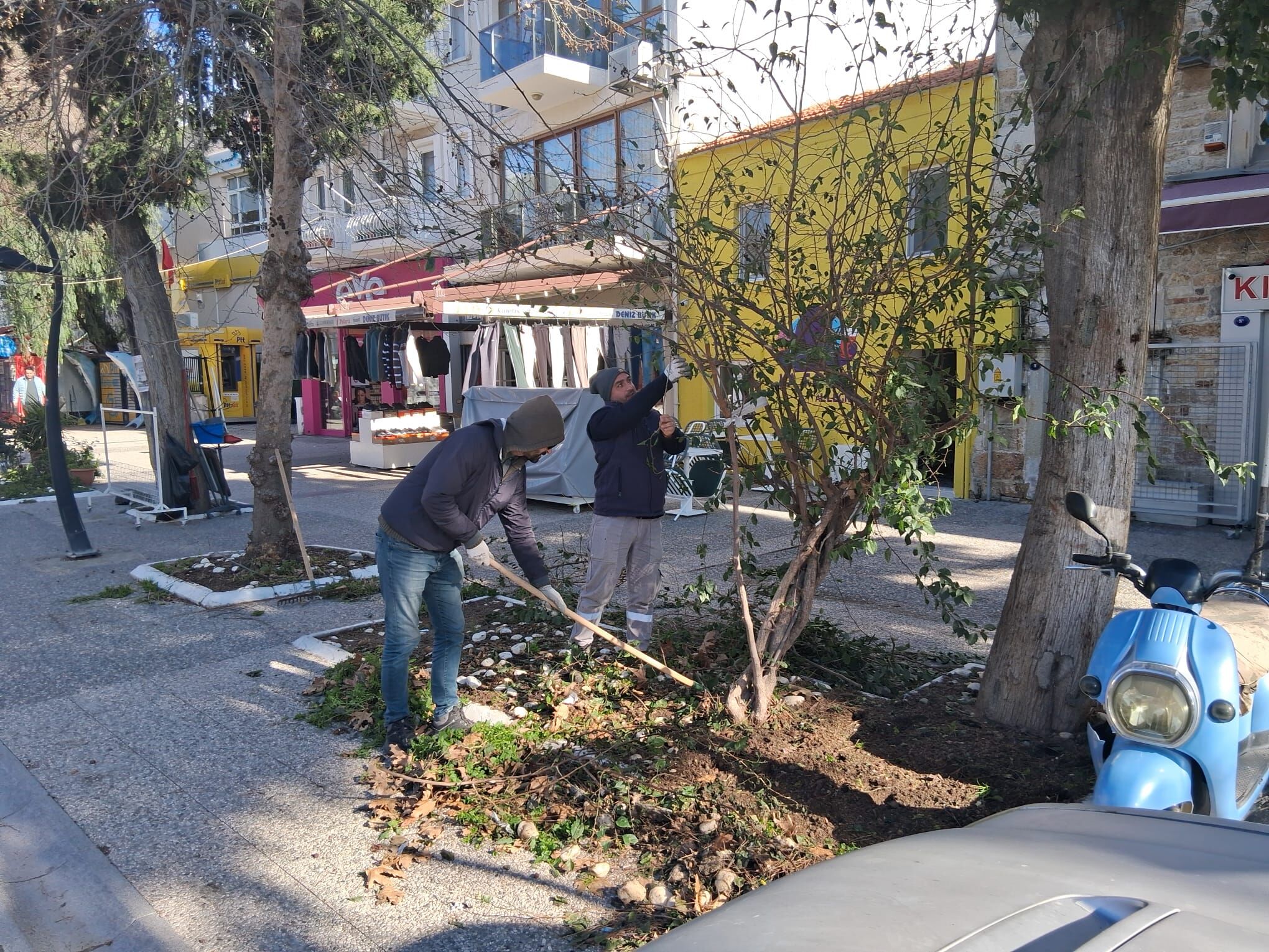 Foça Guzellesi̇yor (1)