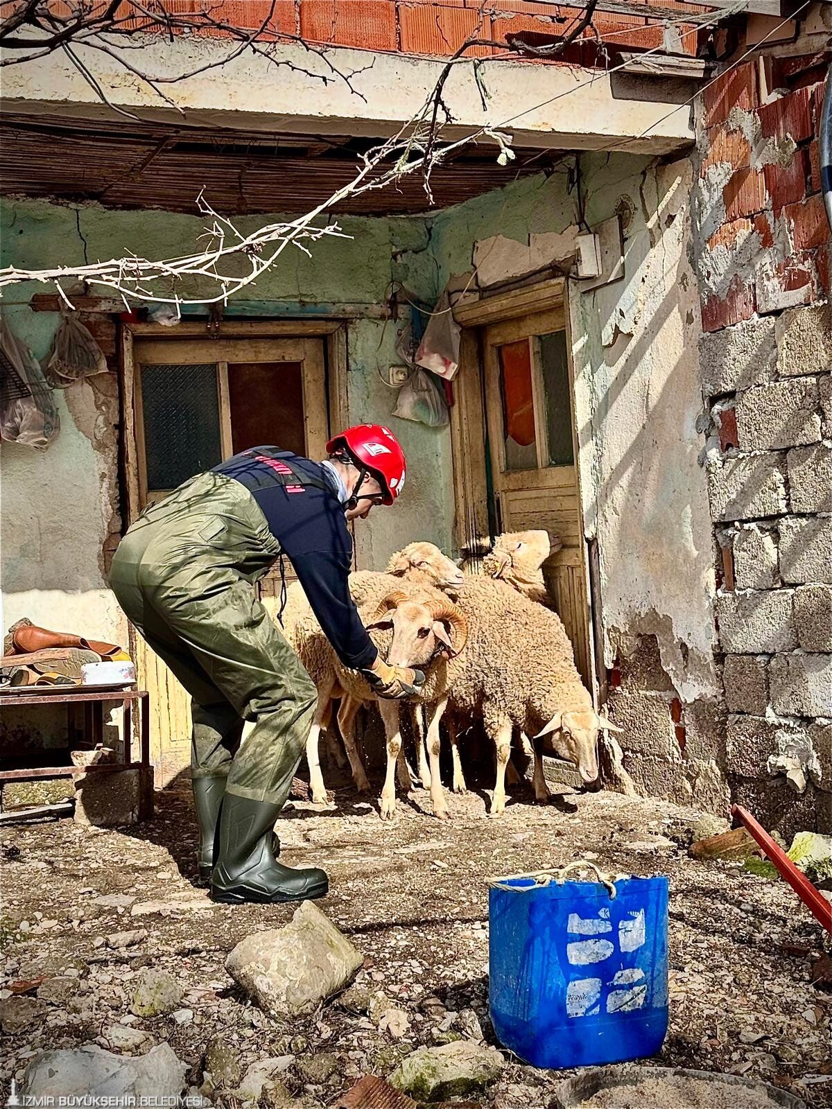 01022026 9420 6