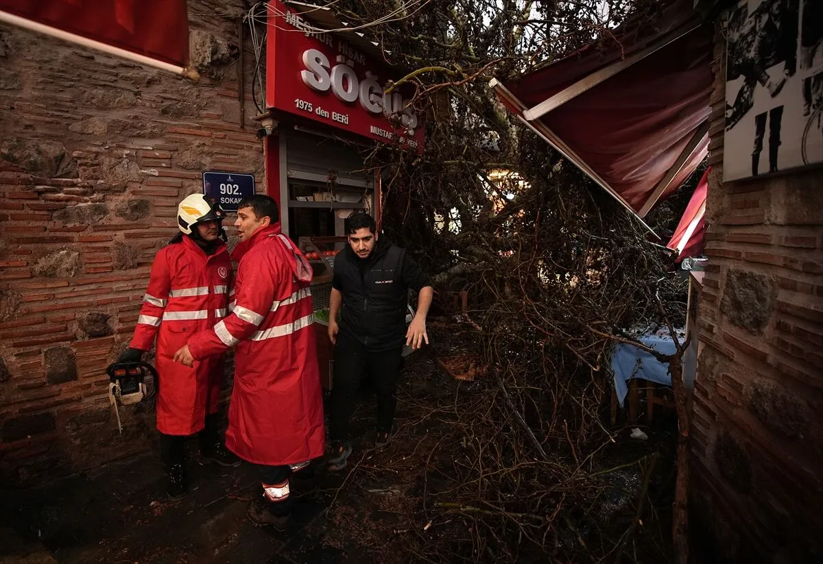 Asırlık Cınar Devrildi (2)