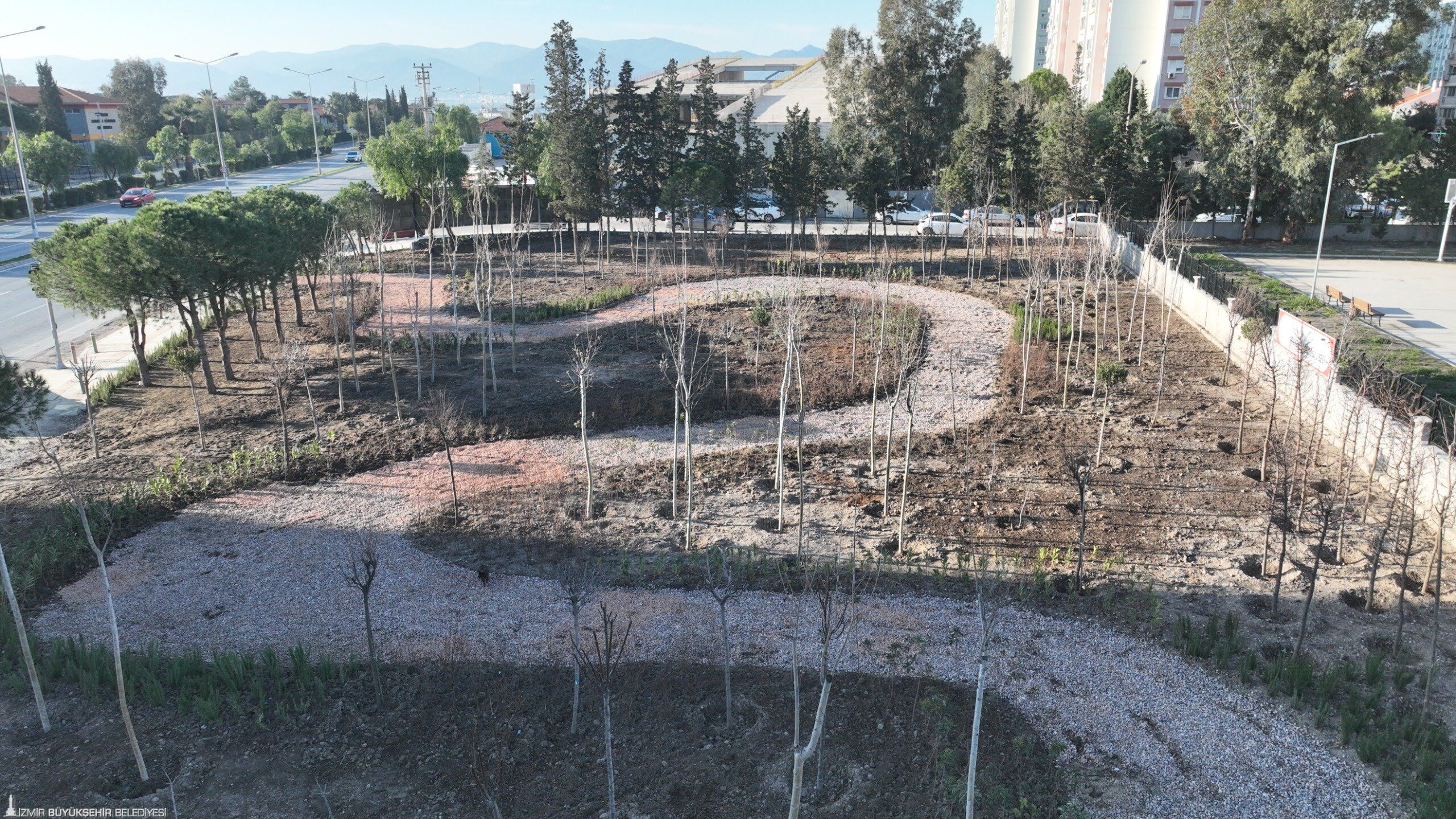 Izmir Yesil Hamle (2)
