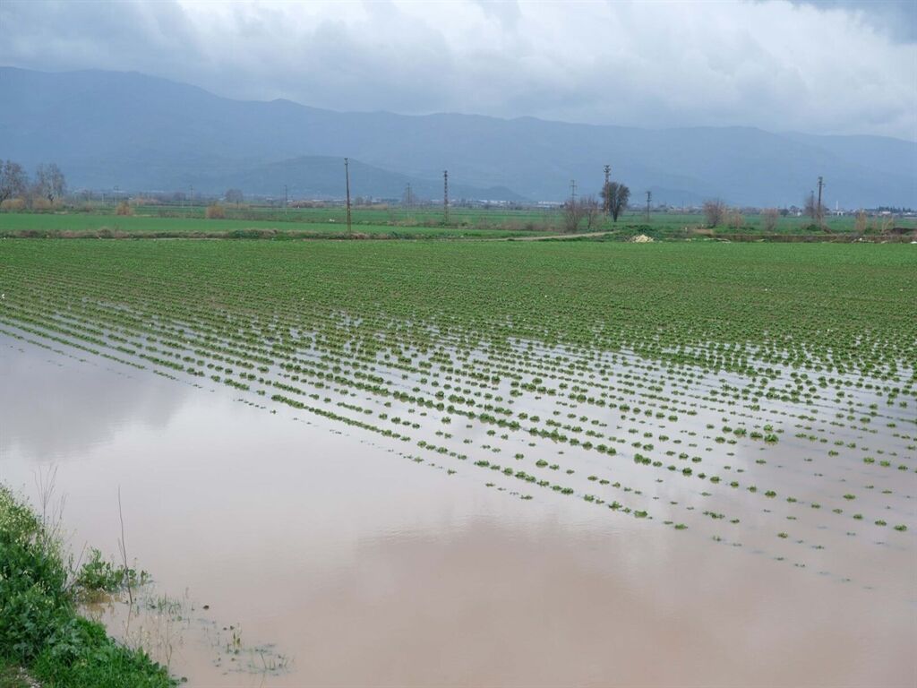Kucukmenderes Taştı (5)