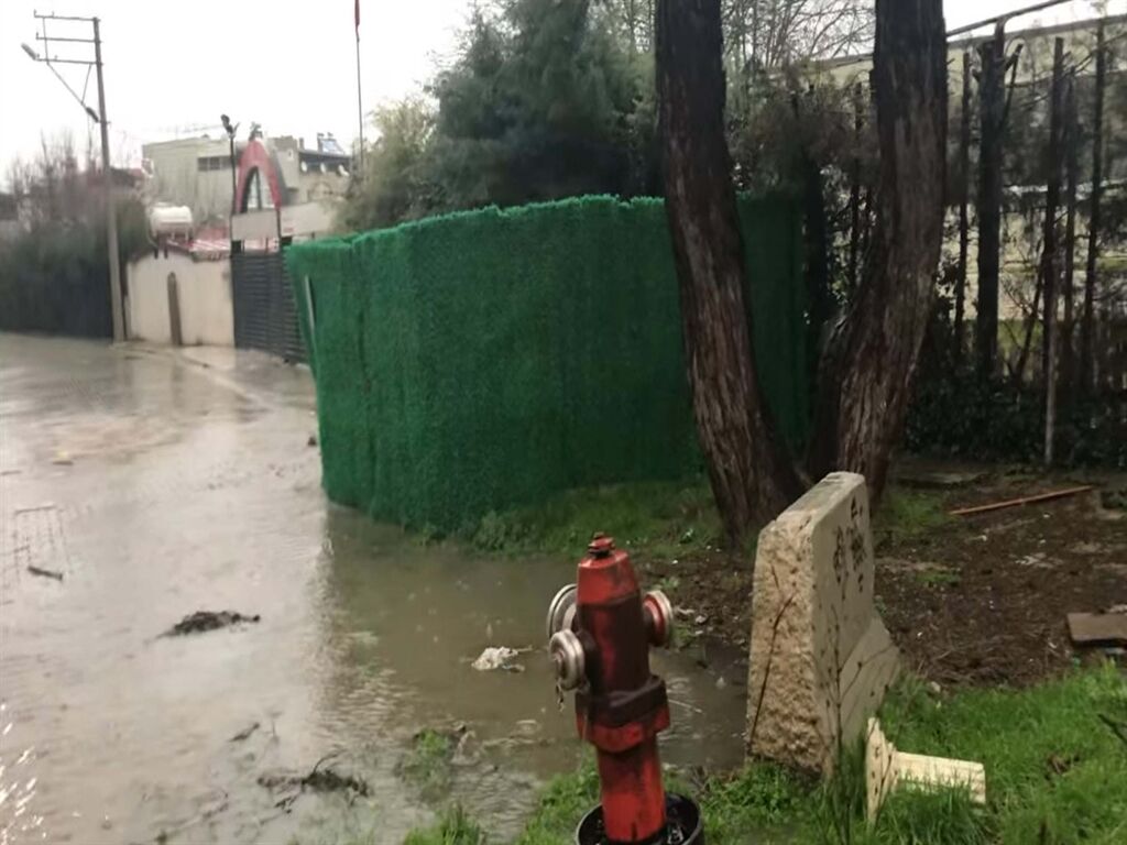 Sel Latık (2)