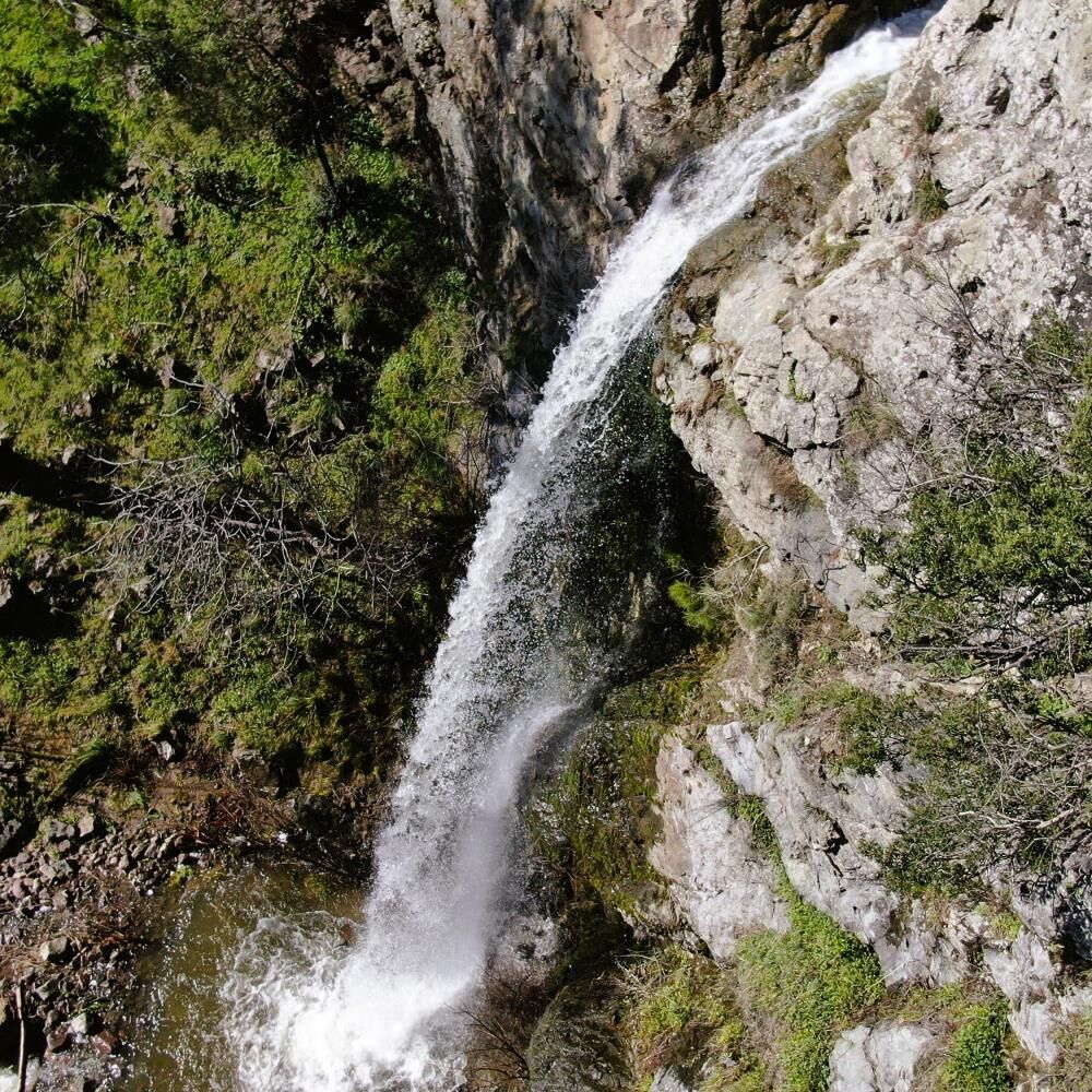 Selale Aktı (3)