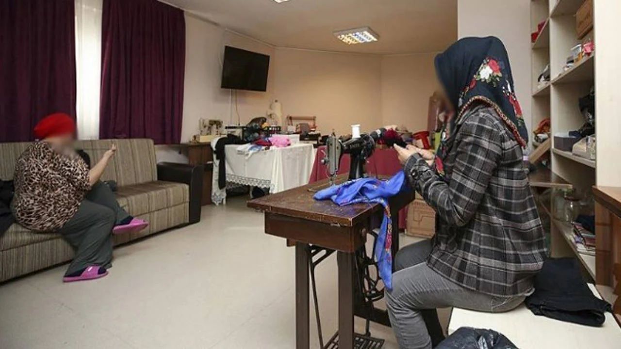 Kadın Sığınma Evleri (1)
