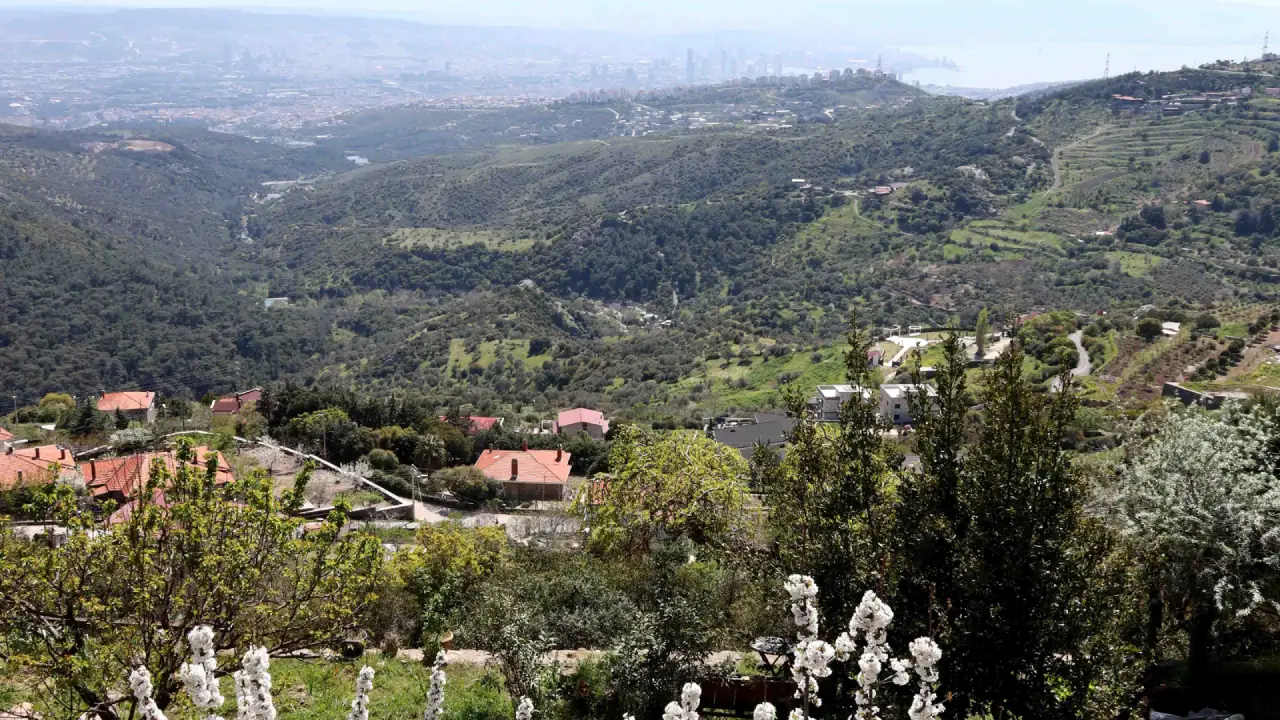 Kayadibi444