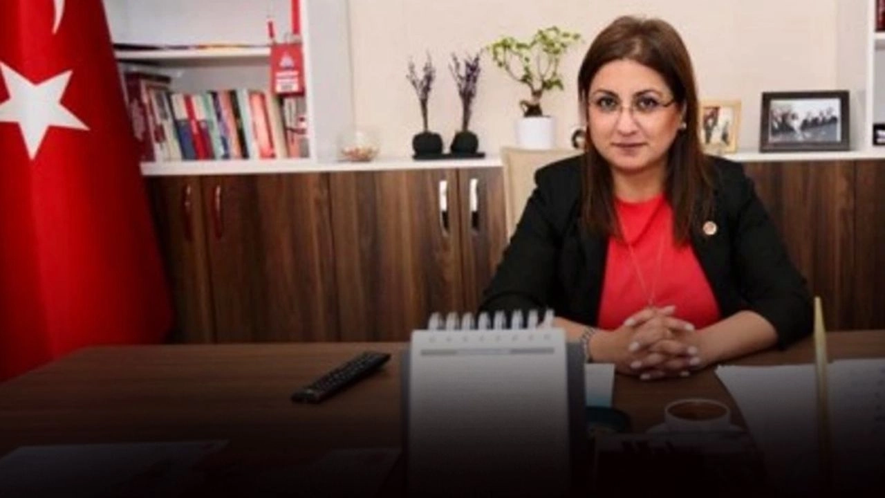 14 Didem Gultekin Chp1 1