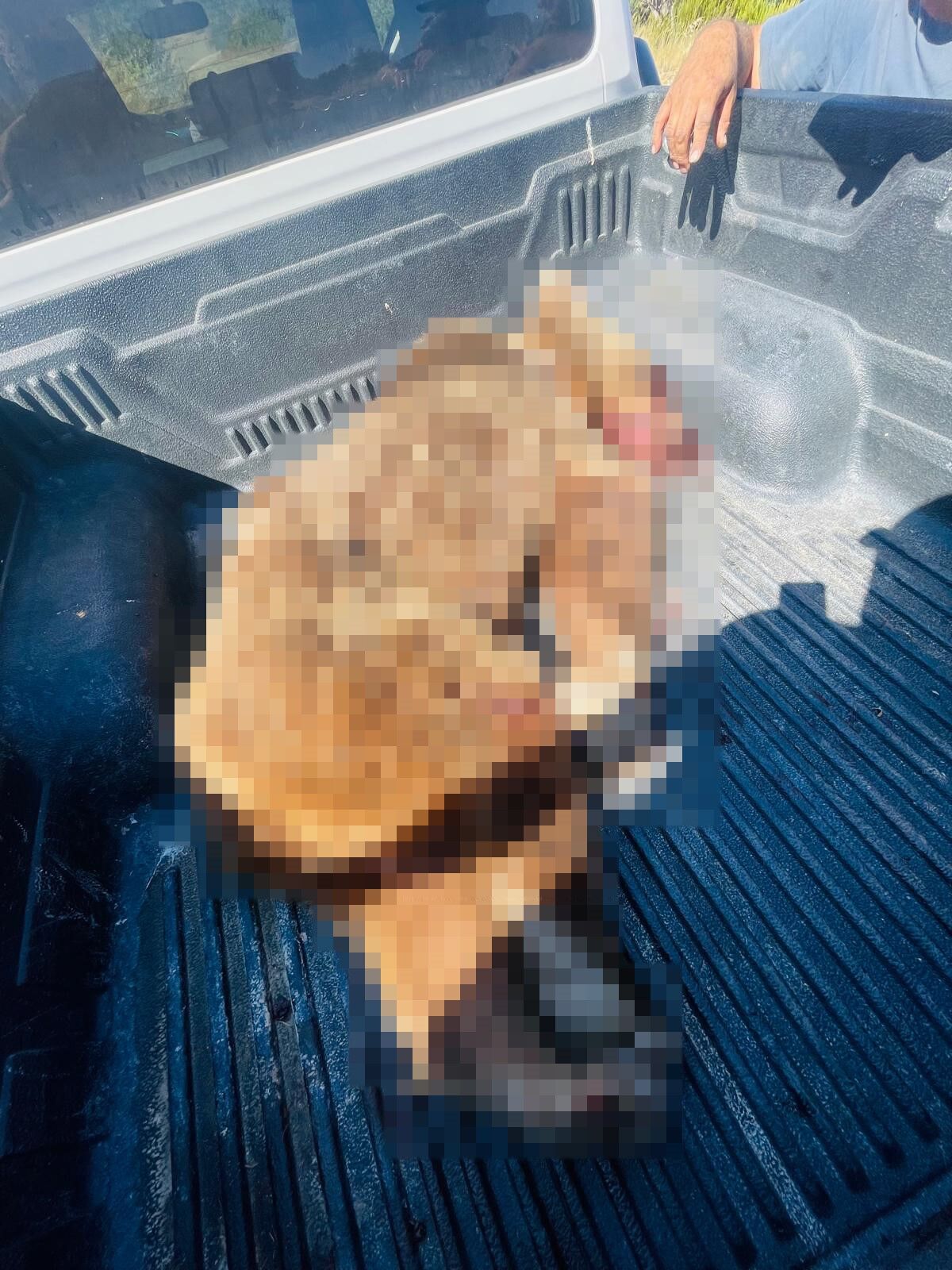 A W742323 01
