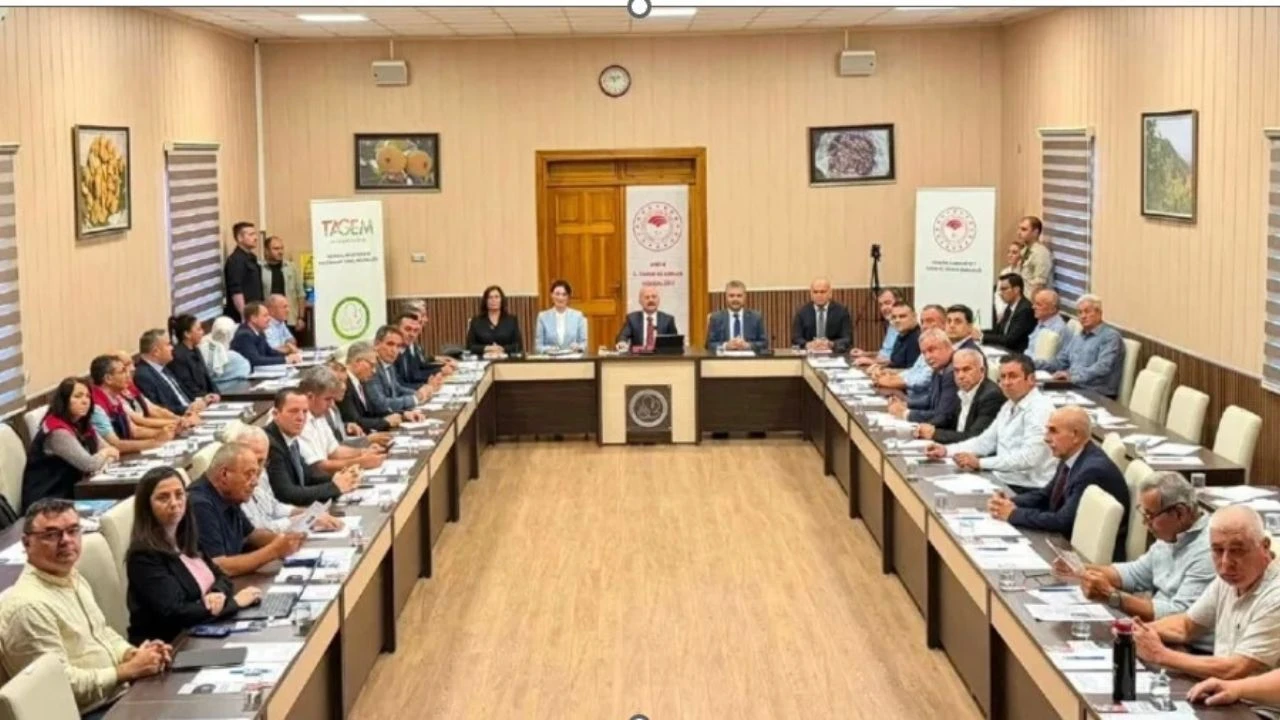 Eib Incir Zirvesi